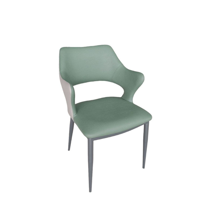 Dining Chair (XB-CL1309)